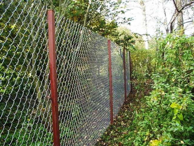 �a�o� �a�op ���pam� ��� o�pa��e��� ��a�m�a