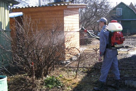 ��� ������������ ������� ������� � ���������� ������