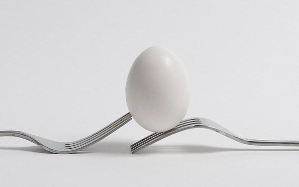 ��� ������� ���� � ��������: ��� ������ � �����