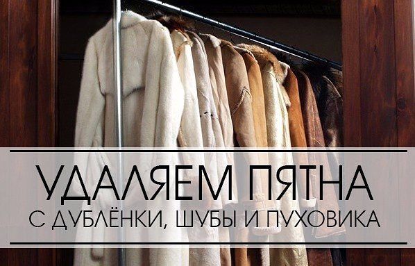 ��� ������� ����� � �������, ���� � ��������