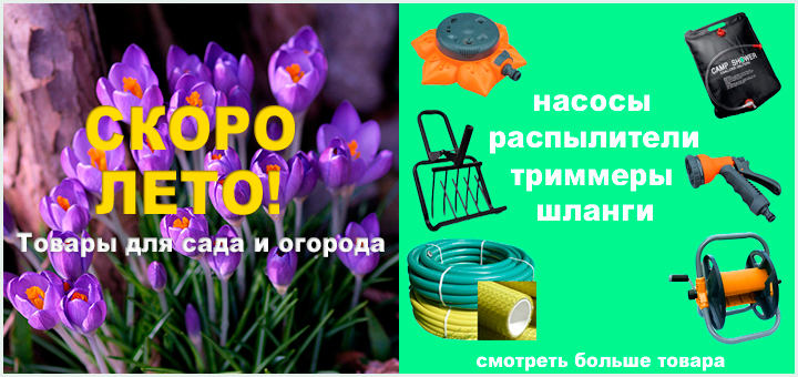  ���� �������. ��� ��� ������ ����. ������, ��������, �����������, �������������, �����, ������, ���������, ����������, �������, ���������, ���������������, ������������ � ������ ������-2