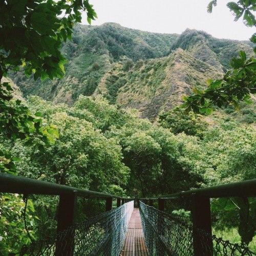 7 �����, ������� ����� ������� � �������