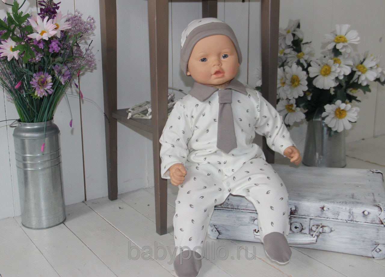 ���� �������.����� ���������� � �������� ������ ��� ������������� �� Pollo.����� ��������� ����� 33