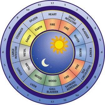 �������� ��������