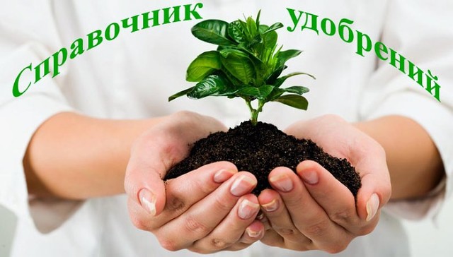 ������� ���������� ���������