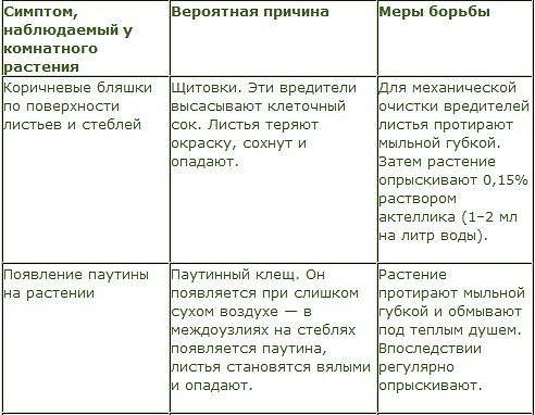 ����������� ������� �� �������