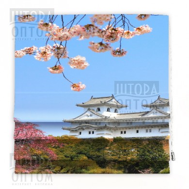 ���� �������. �������� �����. ����������� �������� �������� �������- 28. ��������� ��������� � �����, �����, ����