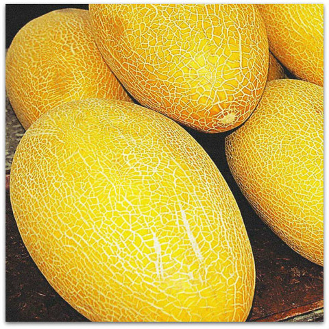 ��� ��������� ���� � ������������