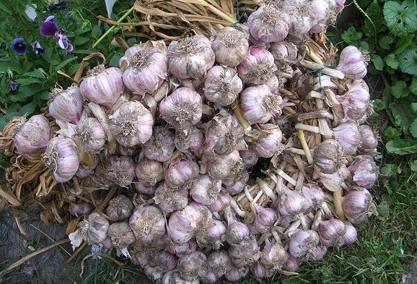 ���������� ������� ������