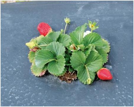 ���� �������.������� ���&����&�, �������,������,���.������������.�������� ( �������� �������� ) , ������ ( ��������������, ������������, ��� ) 42