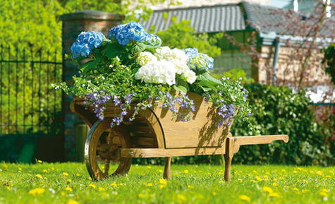 ���� �������. ��� ��� ���� � ������� 44 .��������� ������� ( ��������� ).