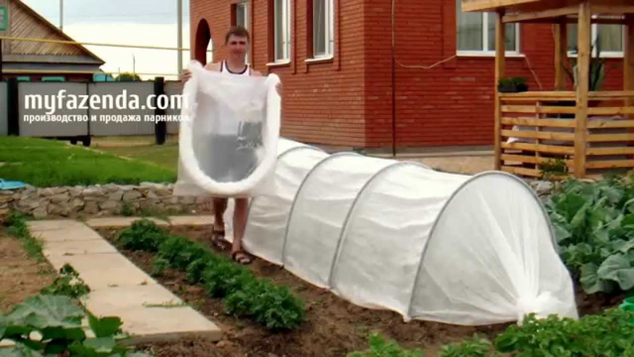 ���� �������. ��� �@����@. ���������� �����. �������. ���� - ������� 4