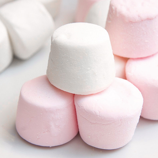 �������� - �� � ���� ���� ����� � ��������!