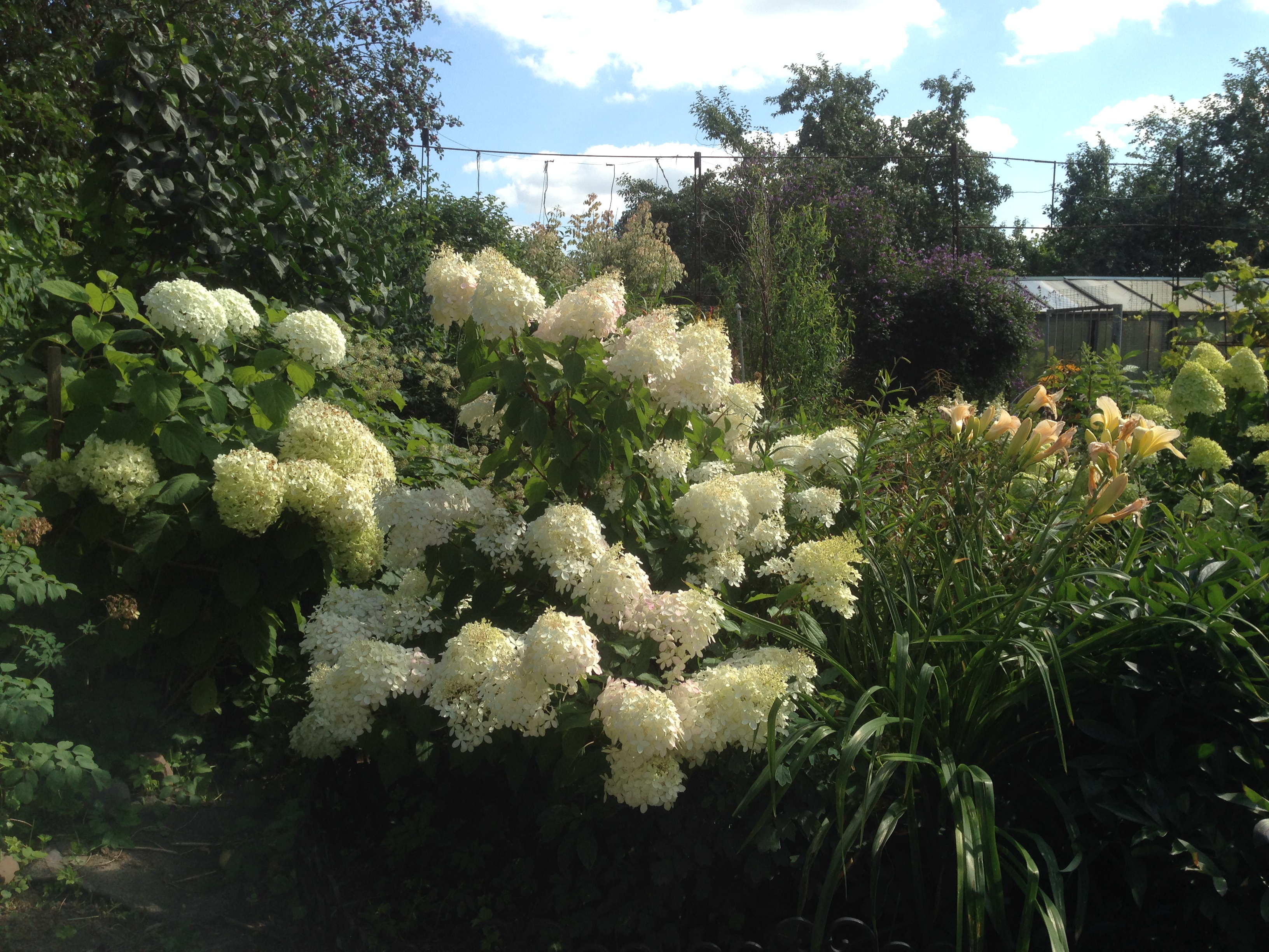 ���� �������. ������������ �������� ��� ��������� ������ ���� �� �������� ��������� ������������� ������� SAVGARDEN. ����� �������!