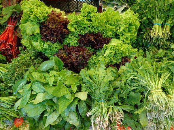 � ������ ������