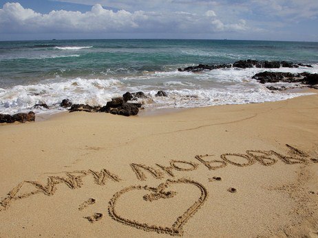 ���� ������ ���� ������� - ����