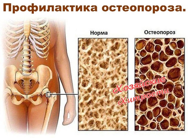 ������������ �����������