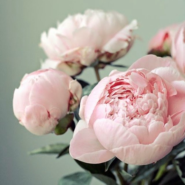 ���� �������. �������� ������� - ����� ����������� ��� ���������, ������ ������-6. ����� ������ ���� �� ������� �� ����� ����