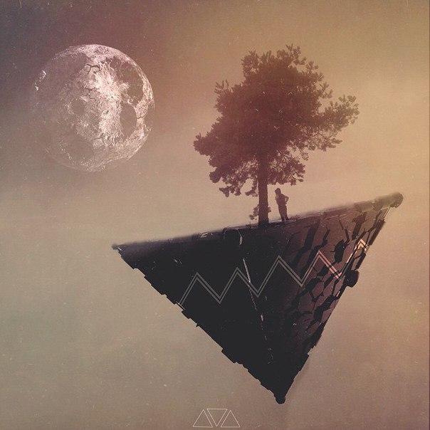 ���� ������ ���