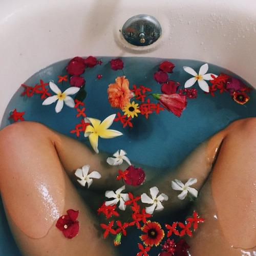 �����, ��������� ������, ������ �� ������� ������� � ����������.