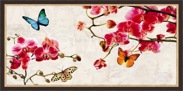 ���� �������. ������������ � ����������� �������. �����������, ��������. ����� ����-�����. ��������� ��������. ��������� �������. ����������� ������� ����� �� ������ �� ����������. ��������� ����.�����-6.