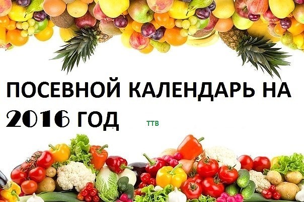 ������ �������� ��������� ���������� � �������� �� 2016 ���