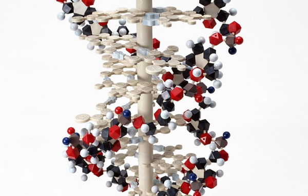 ������ ��������� ��� � ��������� �� ����� �����