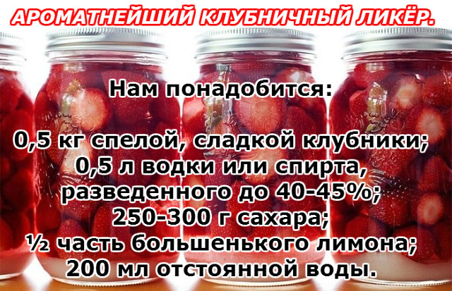 ������������ ���������� ����