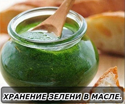 �������� ������ � �����