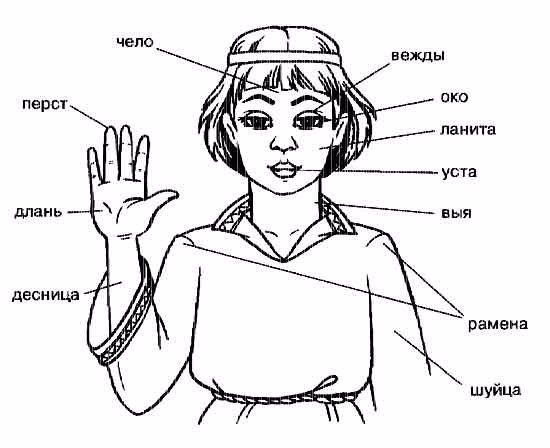 ������� ���������� ����