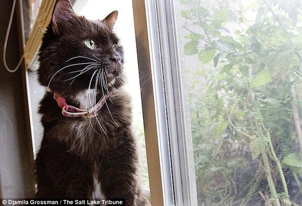 ����� �������� ��� ������� ������