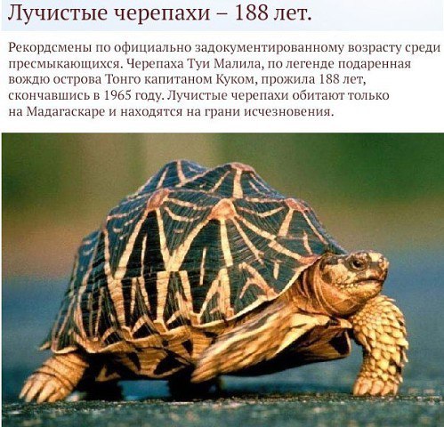 ����� ������������ �������� ������� �����