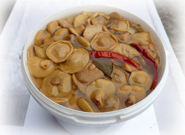 ���� ������. ����� � ����� �� �������������. �������, ��������, ������� ��������, �����, �����. ���������� ������������ EAC.