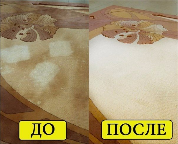 ��� ����� �������� �����