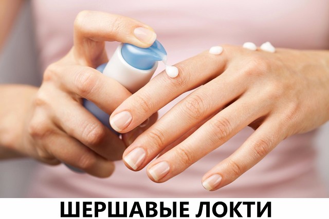 ������ �������� - �������� �����