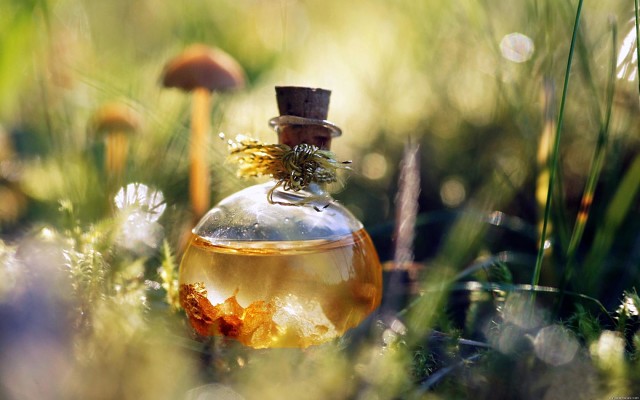 ��������� ����� ������� ������