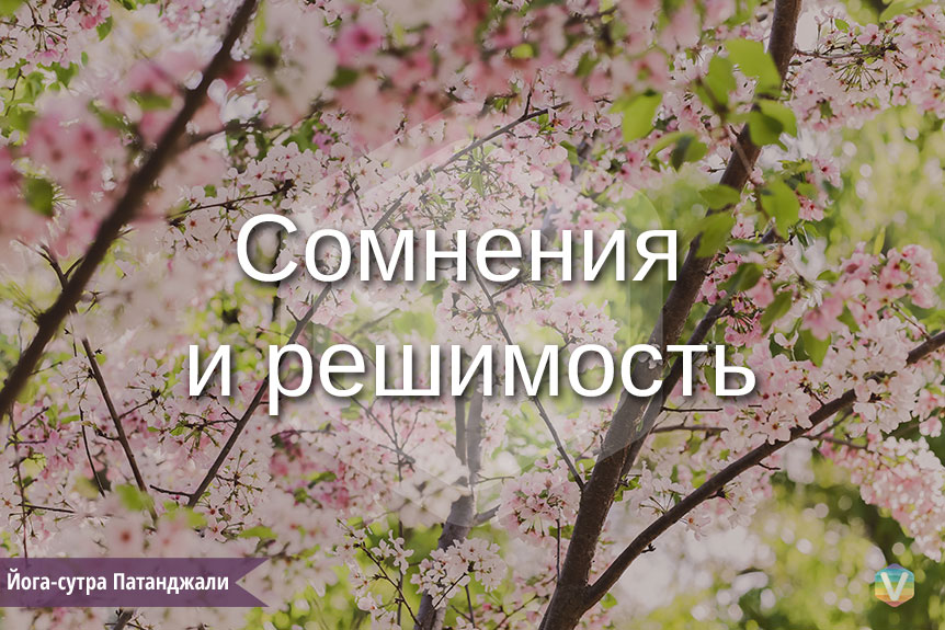 �������� ������� ����. �������� � ���������