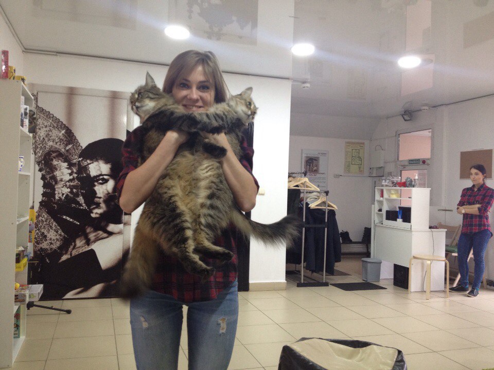 ��������� ������ �������� �������� ��� ��� ���������