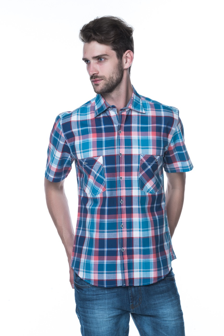 ���� �������. �������� �������� ���� �� ������ ����. ������� � �������� �������, ��������, ����, �����, ������ �� Westrenger