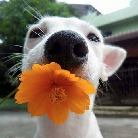 ���� ��������� ��������� ����������!