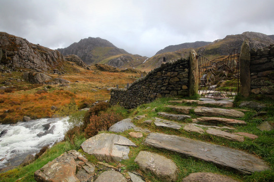 ������� ��������� � ������ ������� �������� � �������