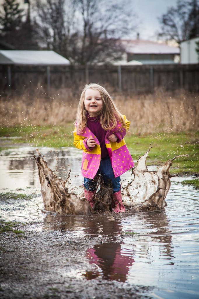 ���� �������. ����� �������� �����) ��������� ����� 2016. ��������� �����.