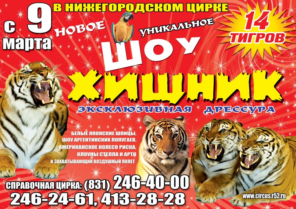 ������� ��� ����������. �������� ���� ������������ �����. ���������� ��� ��������������� ��������� ������������ ���������� mezha.