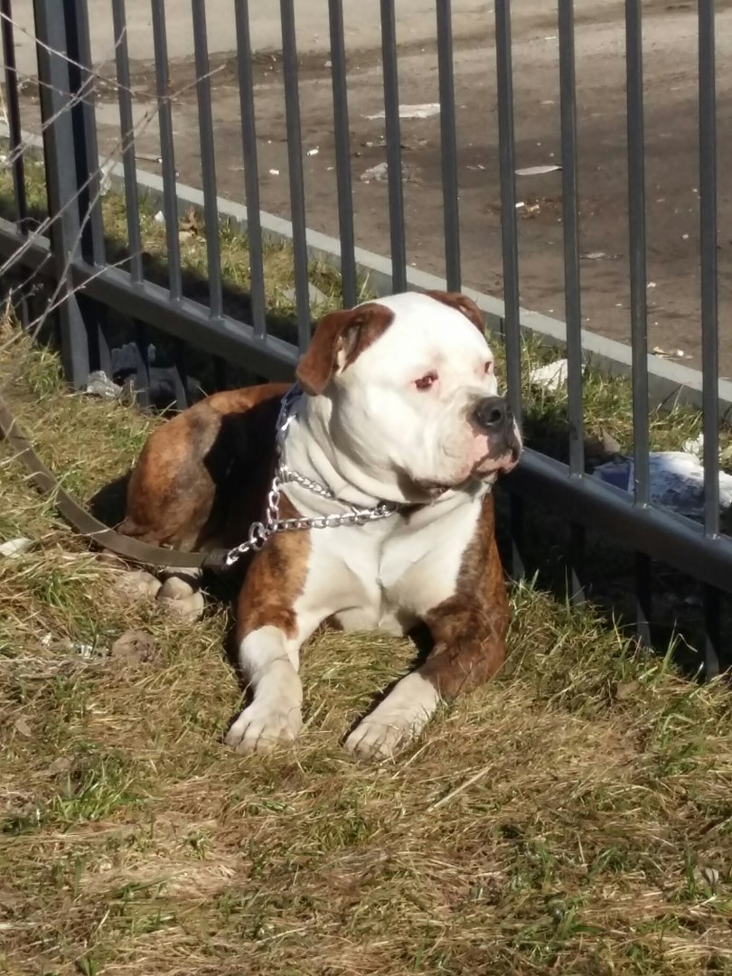 ��������� ���������! ����� ������