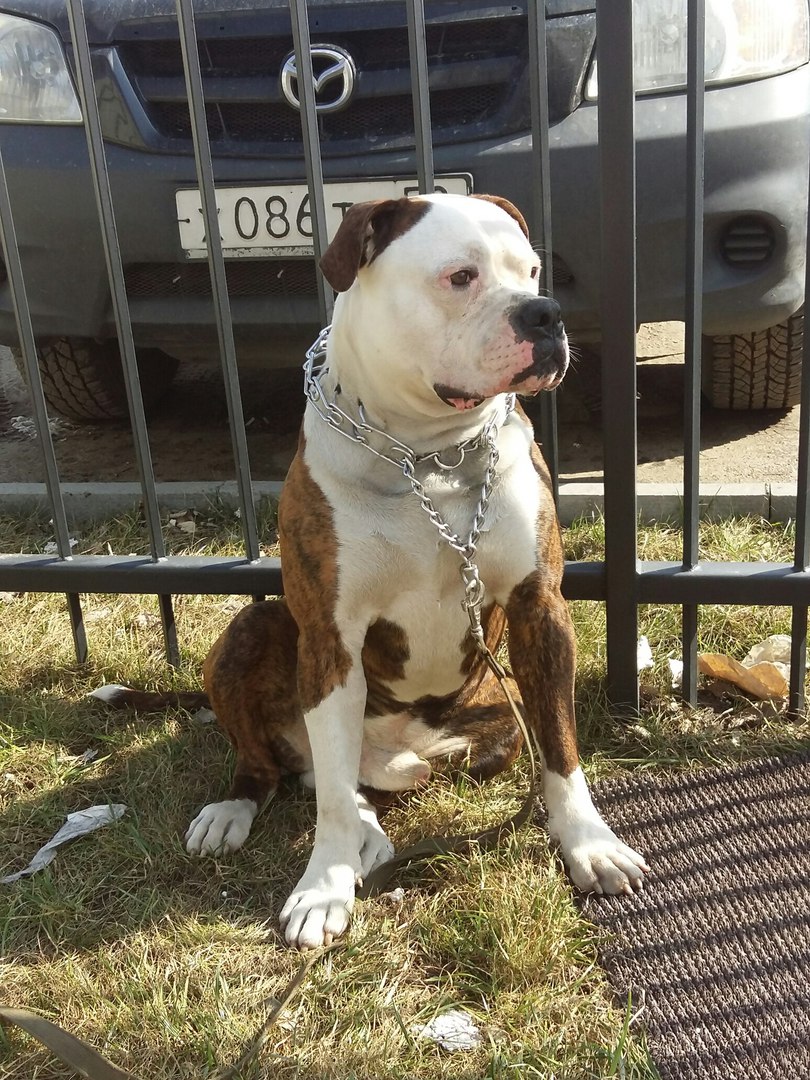 ������� ������