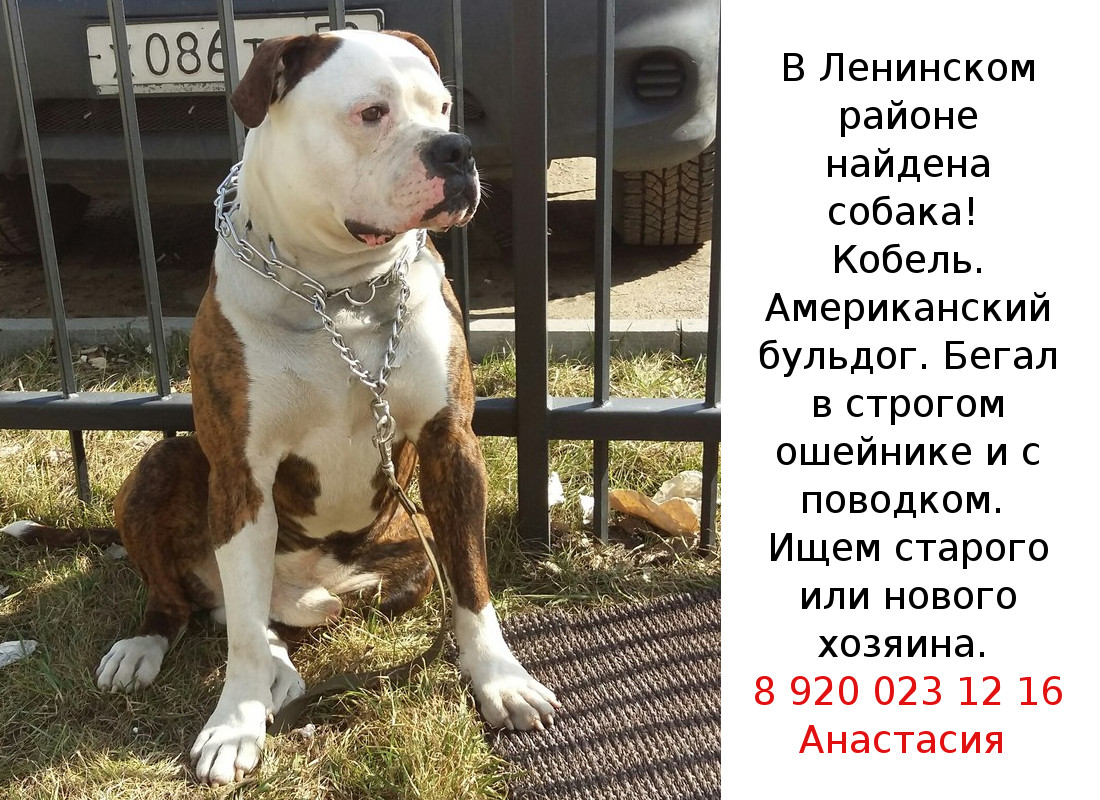 ������� ������! ������������ �������, ��������, ���������, ����� � �������� � �������� � ��������� ������. ����������, ����� ��� ����� ������!