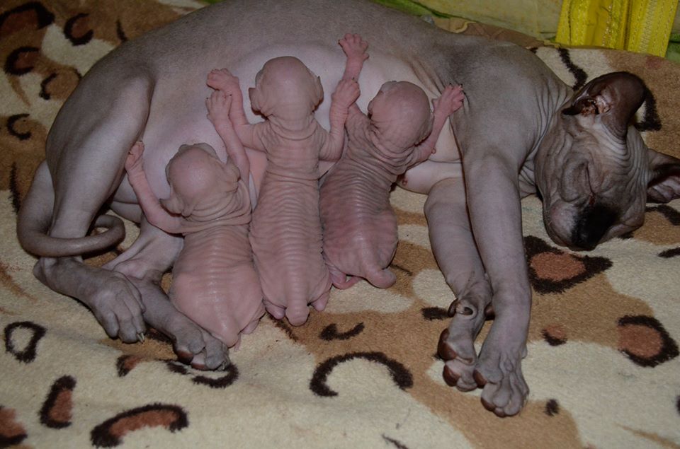 ���� �����!