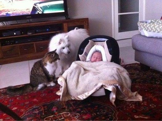 - ��� ��� �� �����.. ������������ ��ԣ��� )))