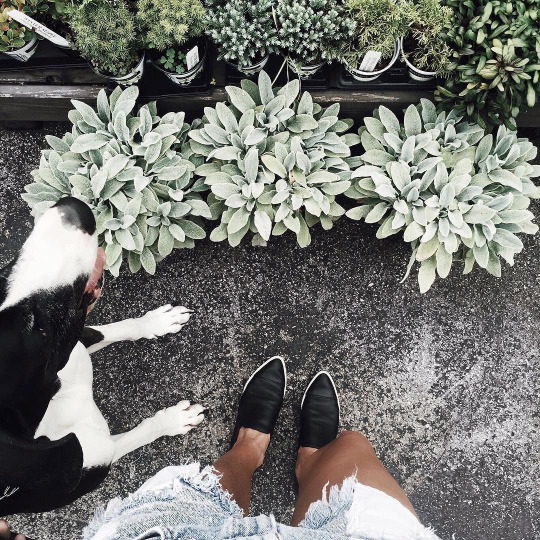 ��� �������� ������������, ������� ������� ���������� ���������!