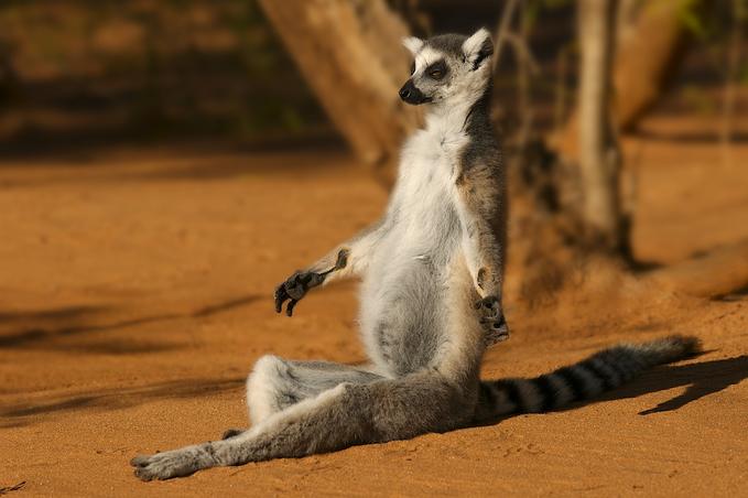 ����� ����� ��� ���� ����